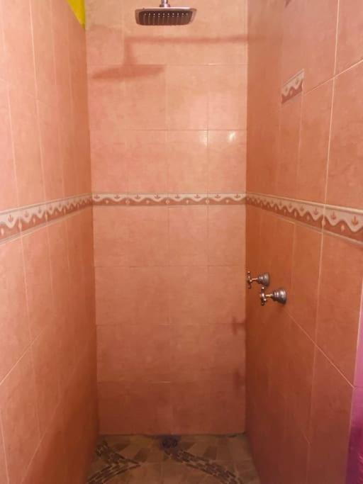 Casa Camilo - Cozy, Beautiful And Nice Separe Room San Miguel de Allende Exterior foto